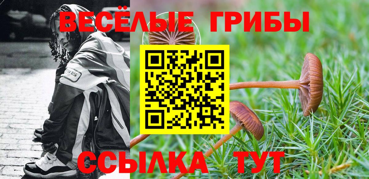 Галлюциногенные грибы Cubensis  Вход с VPN  Клин  Галлюциногенные грибы мицелий 