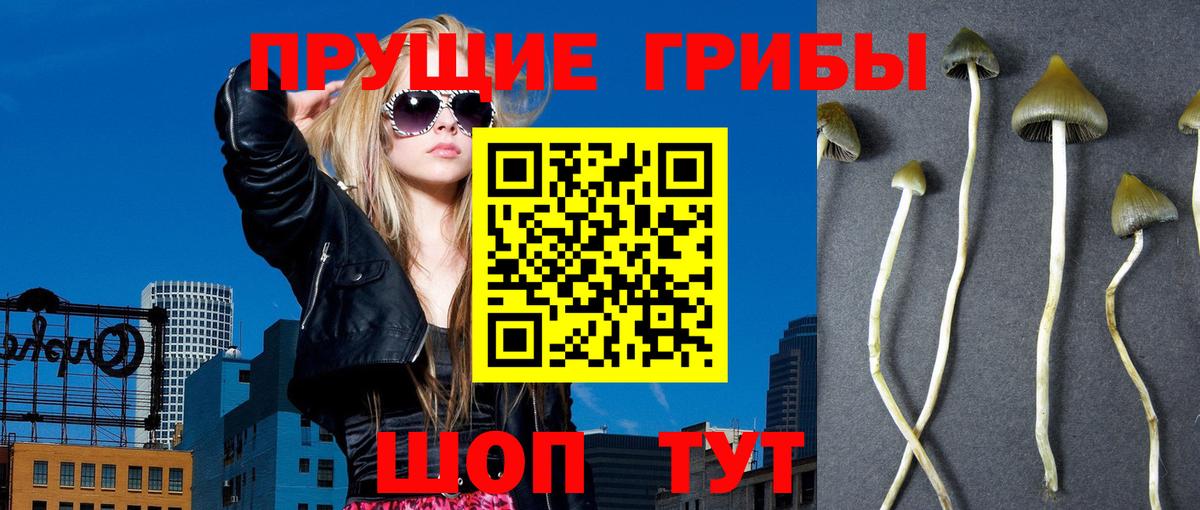 Псилоцибиновые грибы MAGIC MUSHROOMS Клин